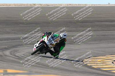 media/Jan-13-2024-SoCal Trackdays (Sat) [[9c032fe5aa]]/Bowl Exit Set 1 (1125am)/